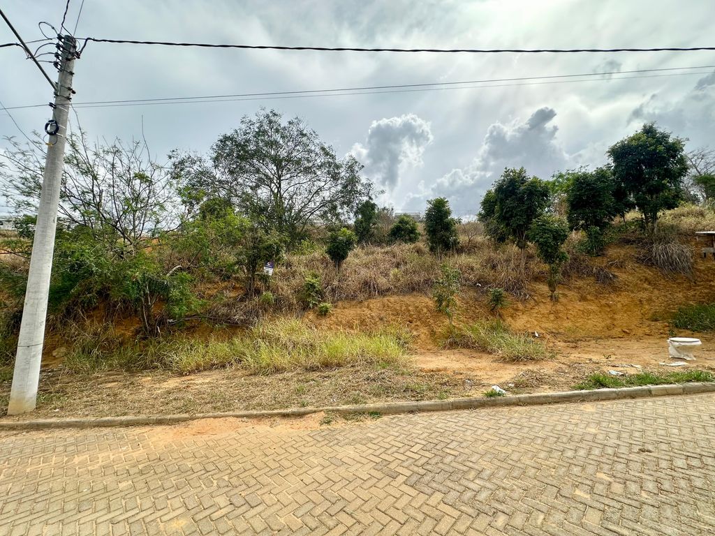 Lote no Santa Clara, Vitali